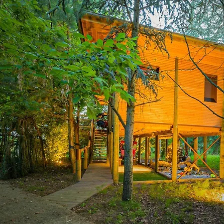 Pont-a-mousson, La Pepiniere Pagode Asiatique *